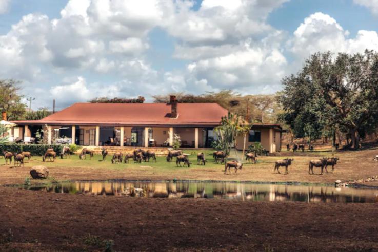 Wildlife Residence Tuvaila エクステリア 写真